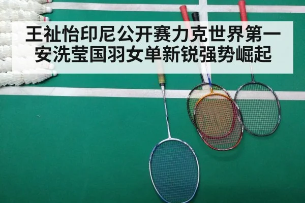 badminton court match
